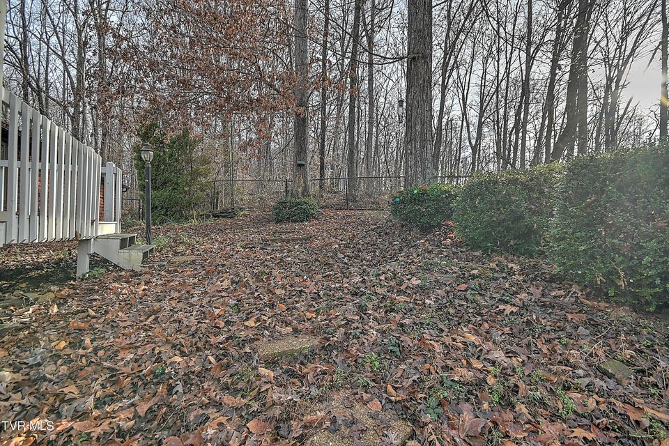 Photo #66: 311 Big Springs Road