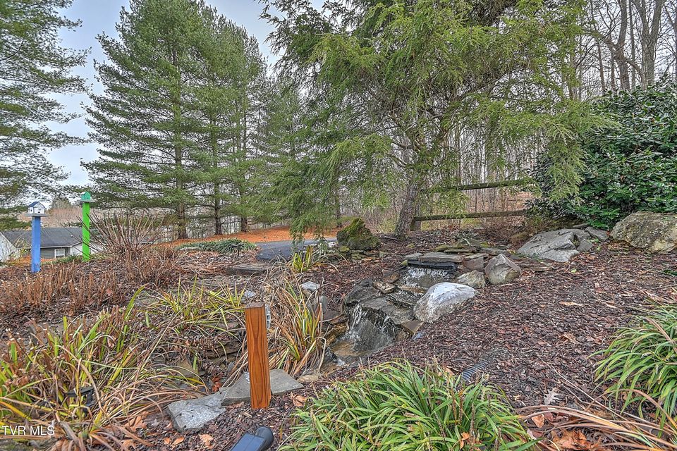 Photo #72: 311 Big Springs Road