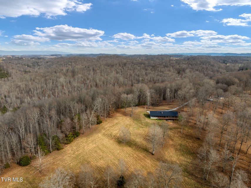 Photo #100: 393 Holt Ridge Road