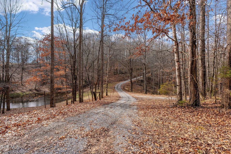 Photo #85: 393 Holt Ridge Road