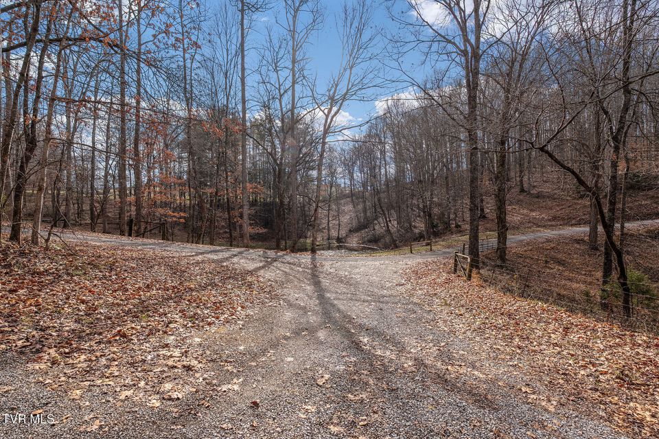 Photo #86: 393 Holt Ridge Road