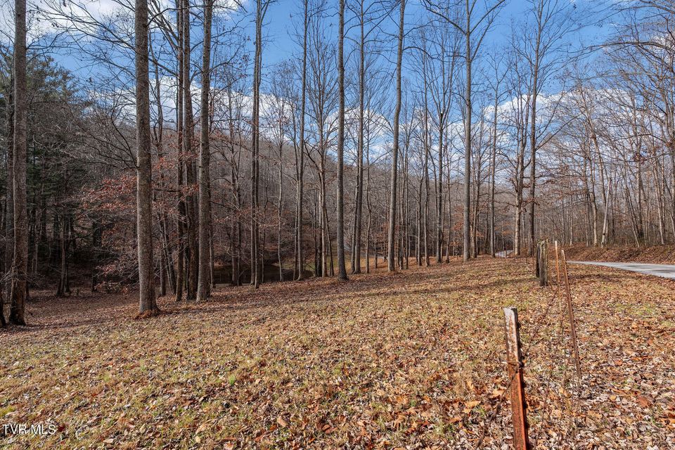 Photo #87: 393 Holt Ridge Road