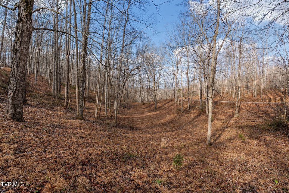 Photo #88: 393 Holt Ridge Road