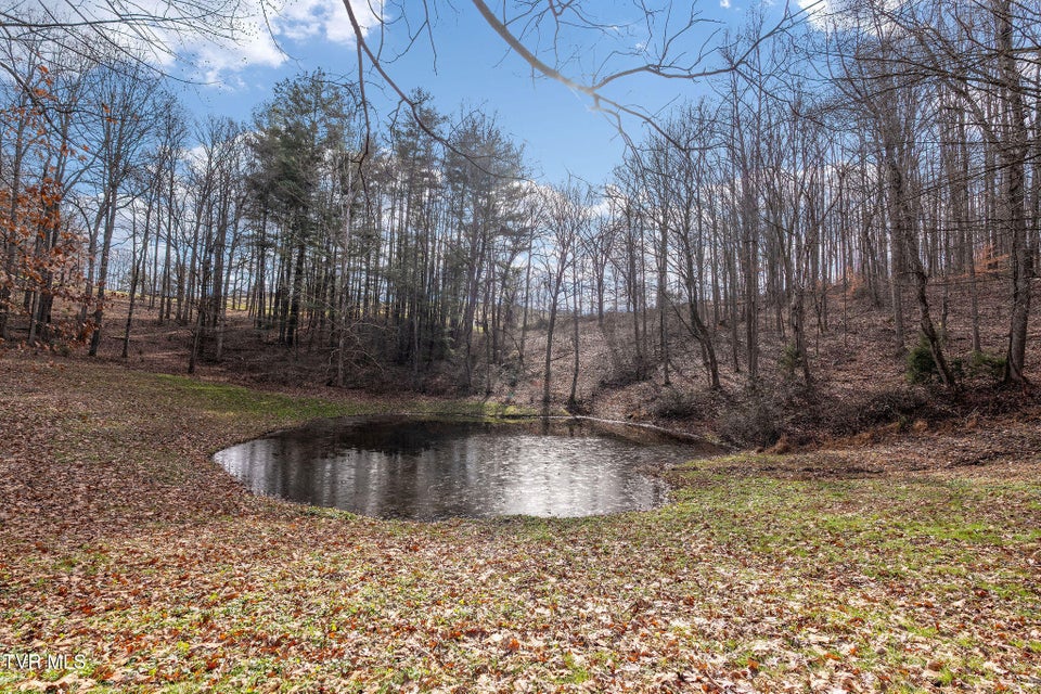 Photo #89: 393 Holt Ridge Road