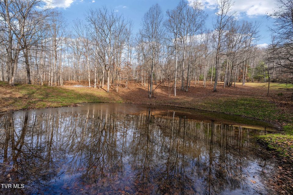 Photo #90: 393 Holt Ridge Road