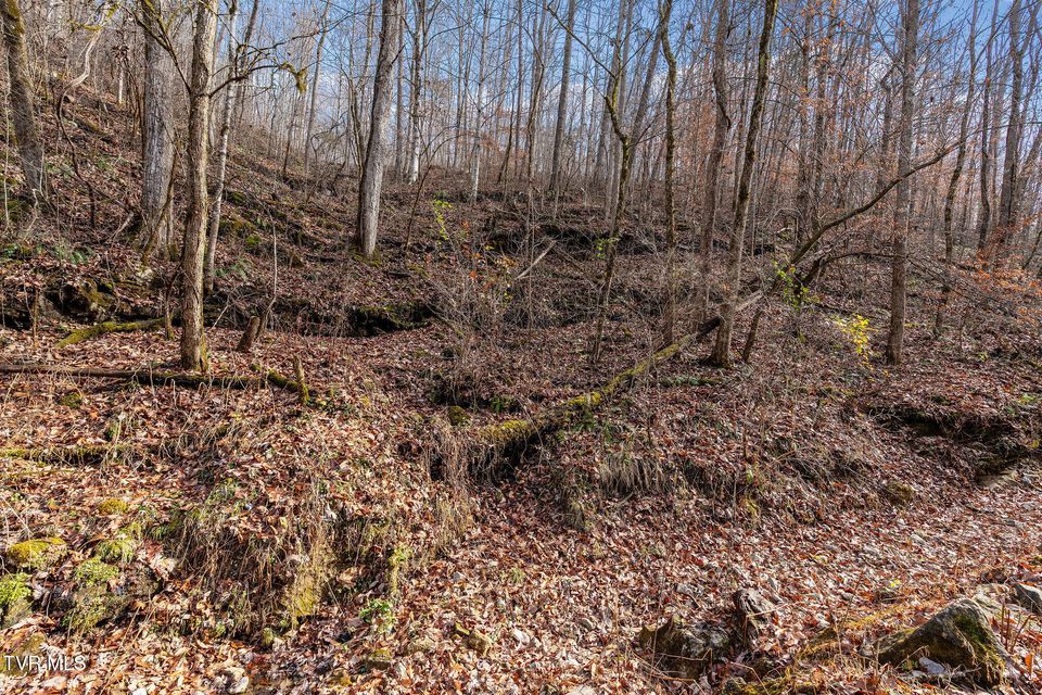 Photo #92: 393 Holt Ridge Road