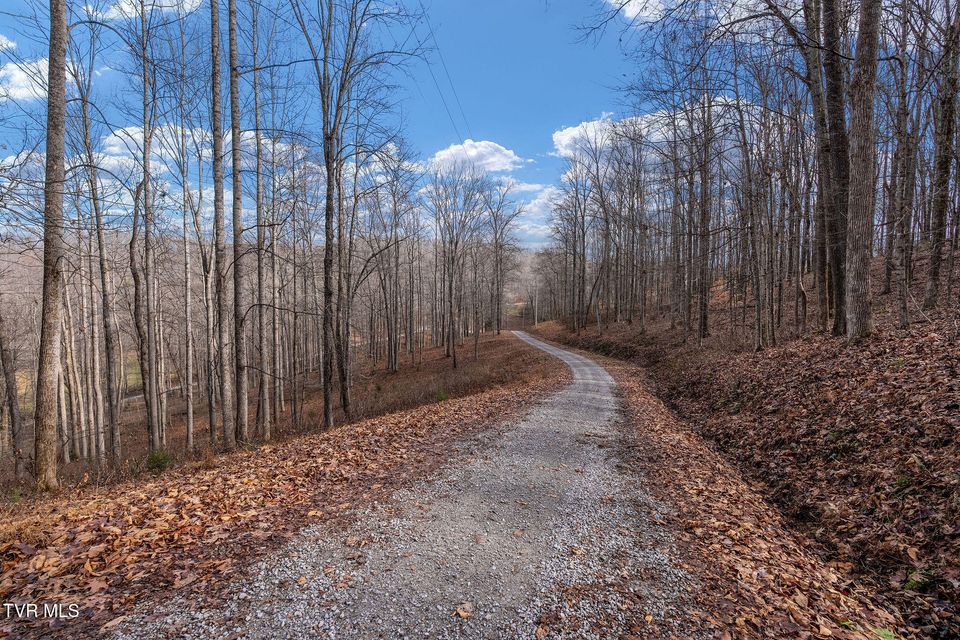 Photo #95: 393 Holt Ridge Road