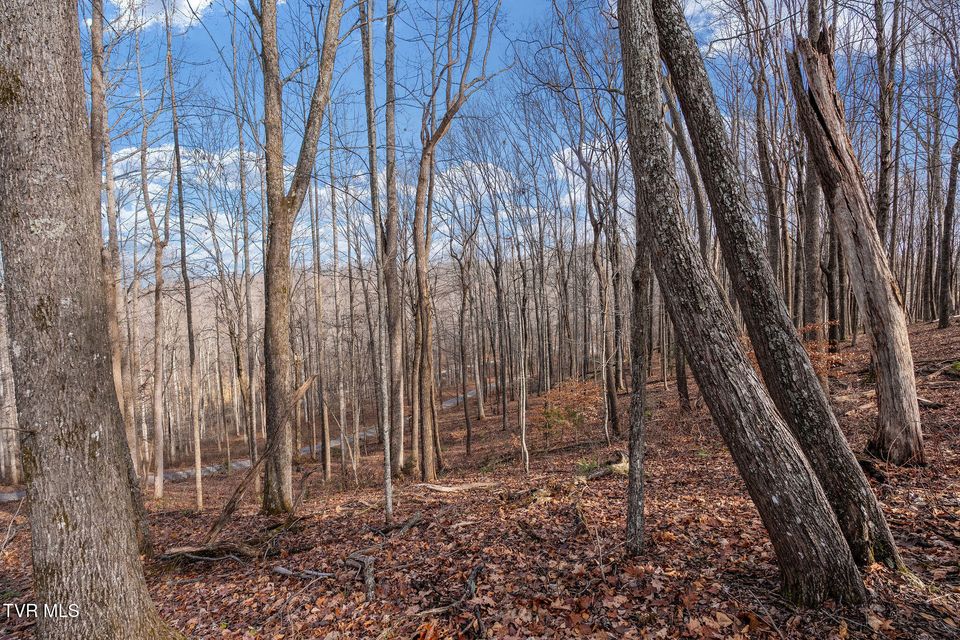 Photo #96: 393 Holt Ridge Road