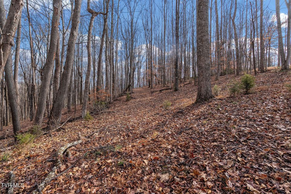 Photo #97: 393 Holt Ridge Road