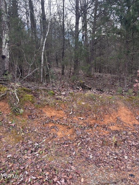 Photo #3: 201 Happy Valley Road