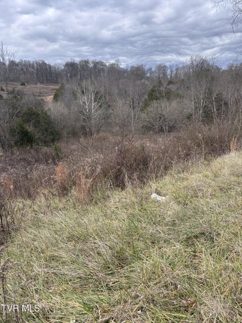 Photo #4: 201 Happy Valley Road