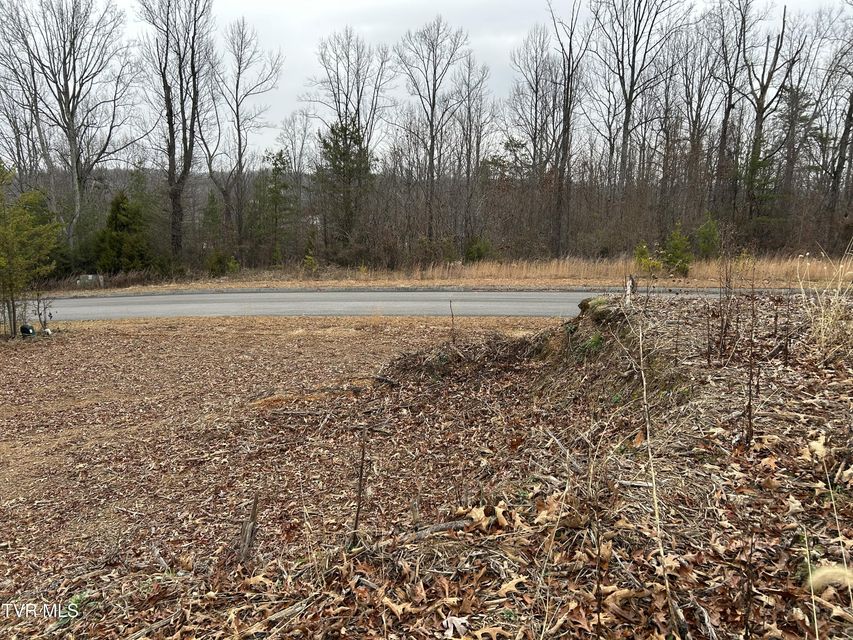 Photo #2: 252 Carrie Circle