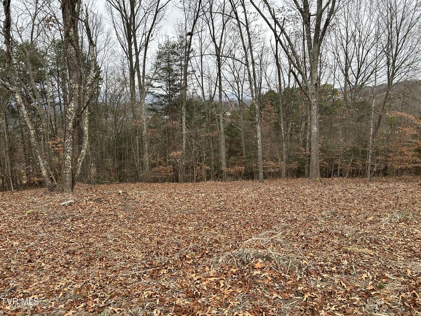 Photo #3: 252 Carrie Circle