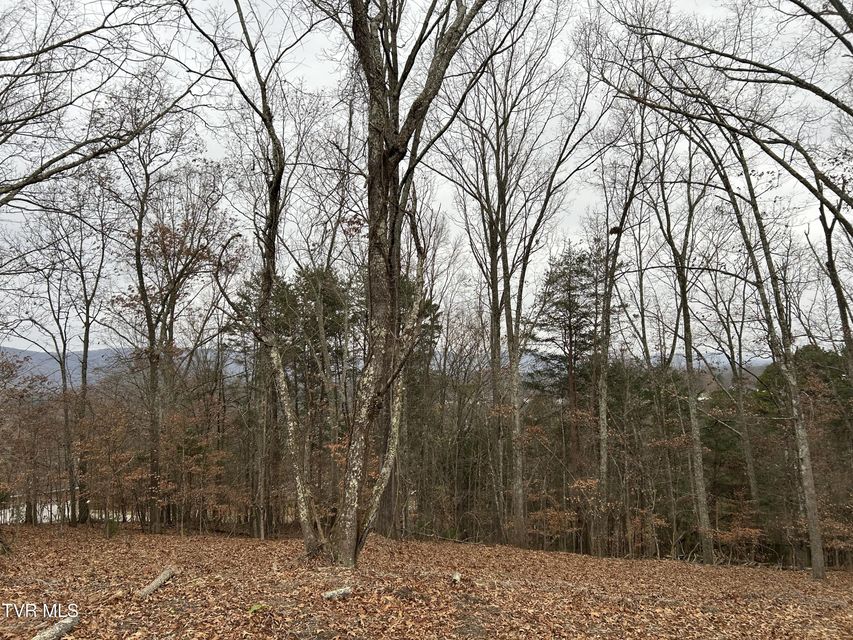 Photo #4: 252 Carrie Circle