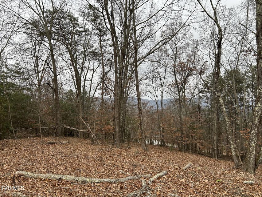 Photo #5: 252 Carrie Circle