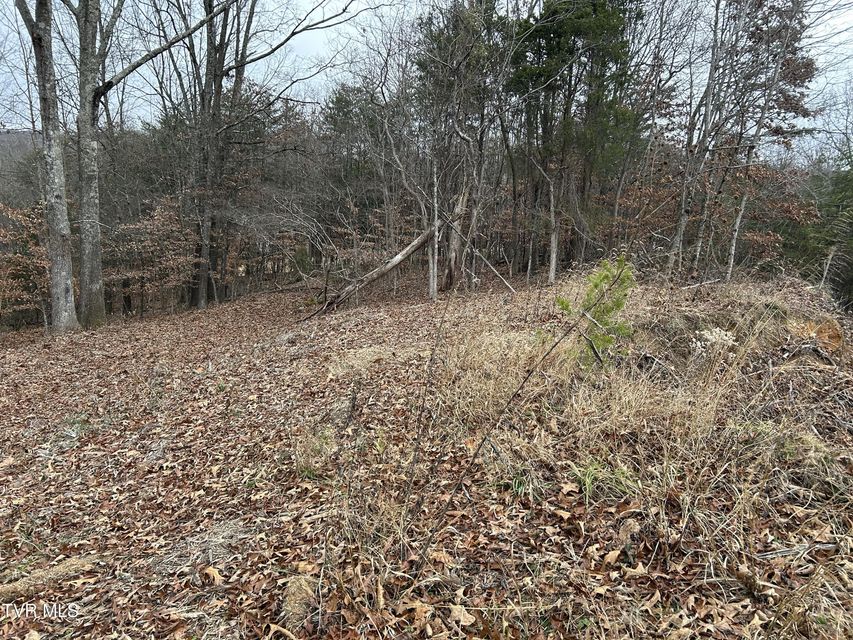 Photo #6: 252 Carrie Circle