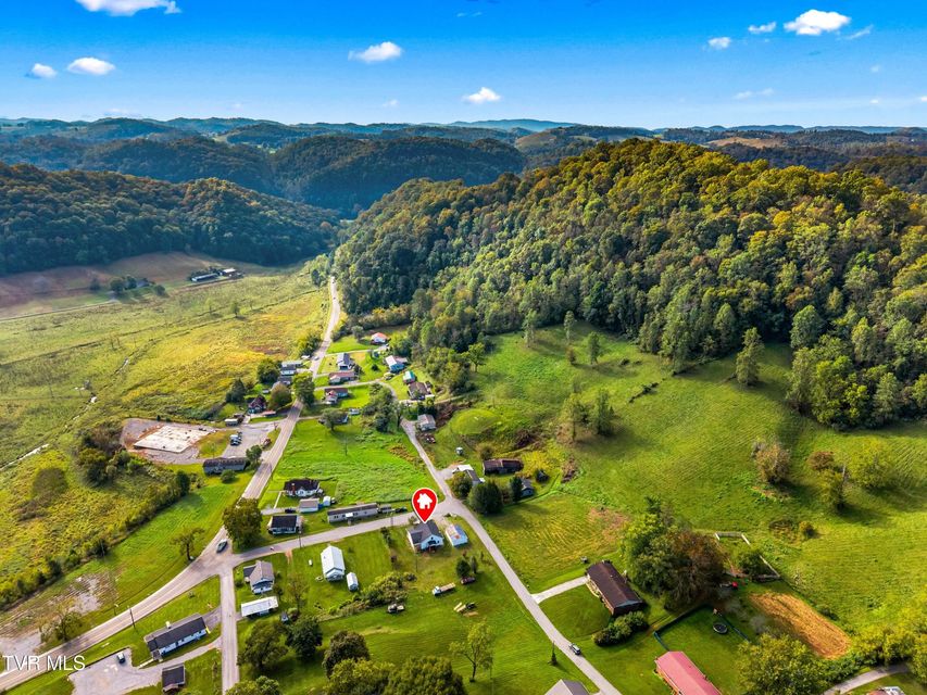 Photo #33: 150 Newman Street