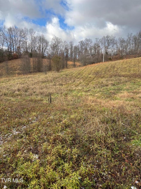 Photo #4: 130 Taylor Road