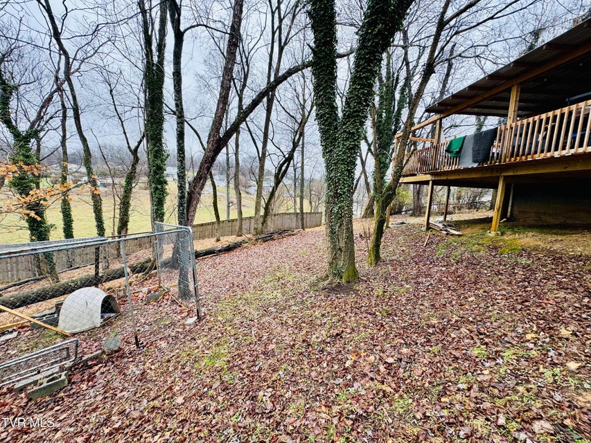 Photo #9: 809 Leona Street