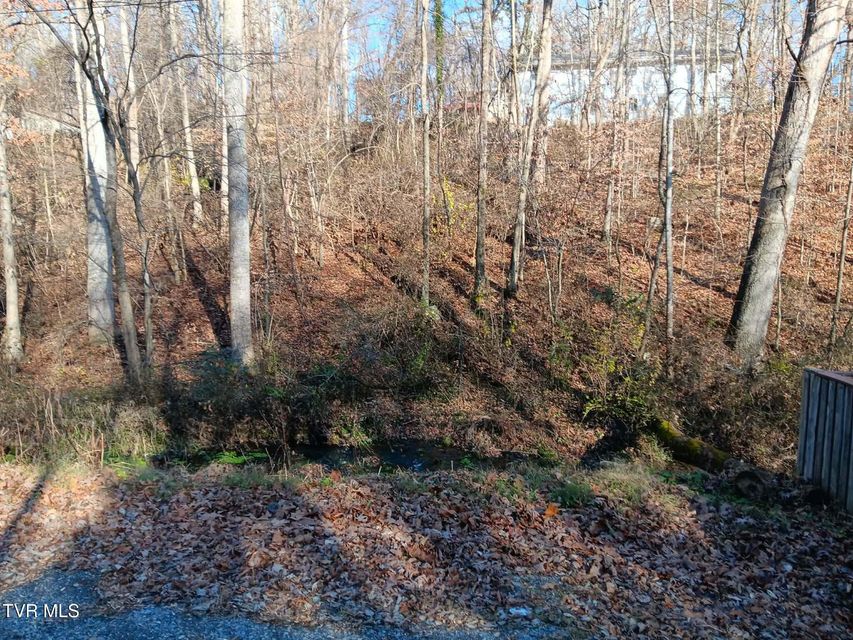 Photo #4: 000 Independence Ave 