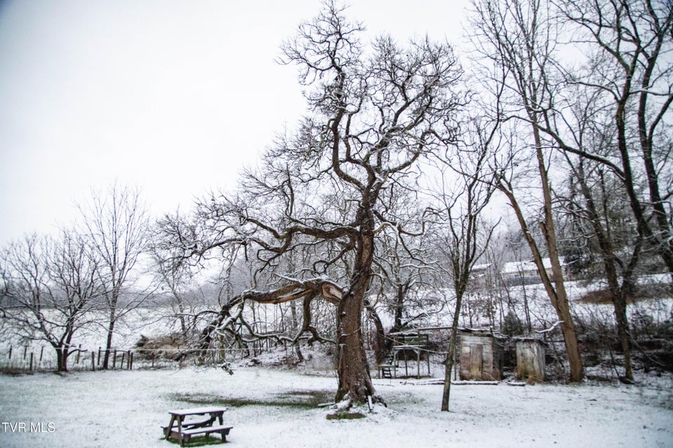 Photo #2: 20217 Shadowood Circle