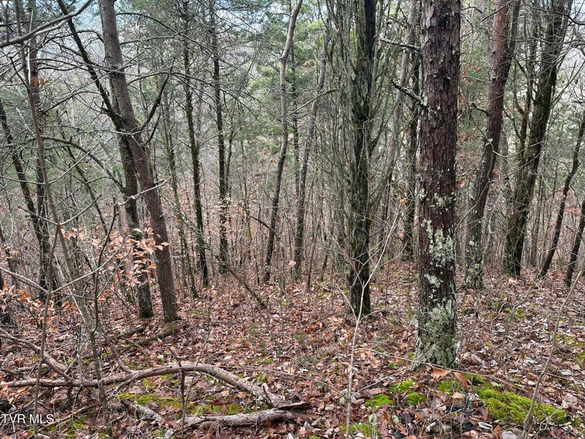 Photo #3: 2476 Jim Henry Road