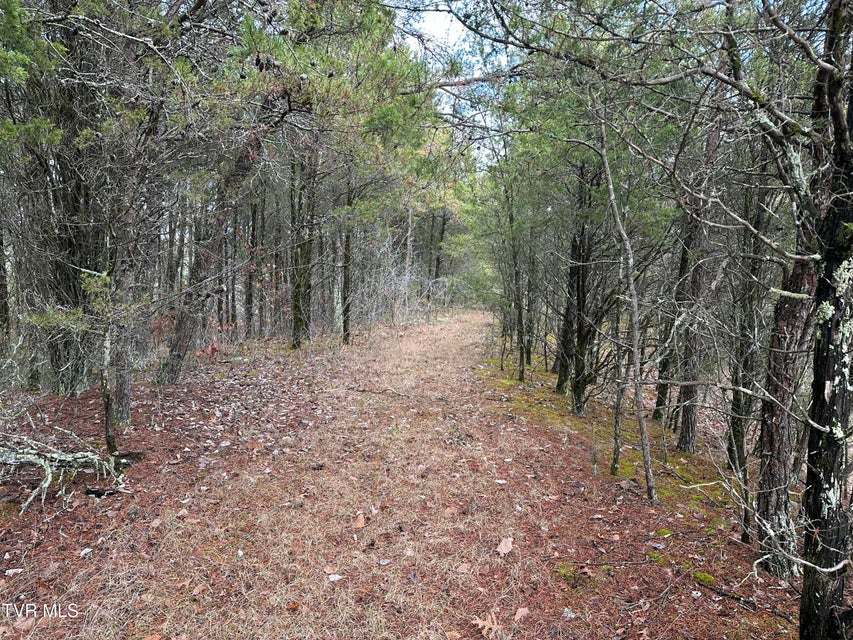 Photo #4: 2476 Jim Henry Road