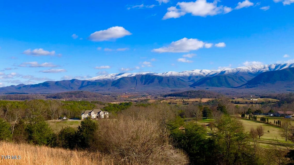 Photo #46: 285 Greystone Road