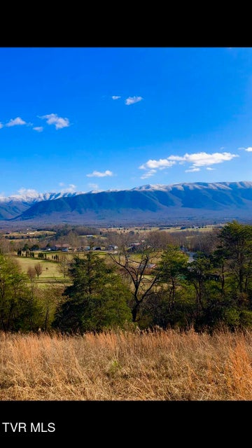 Photo #48: 285 Greystone Road