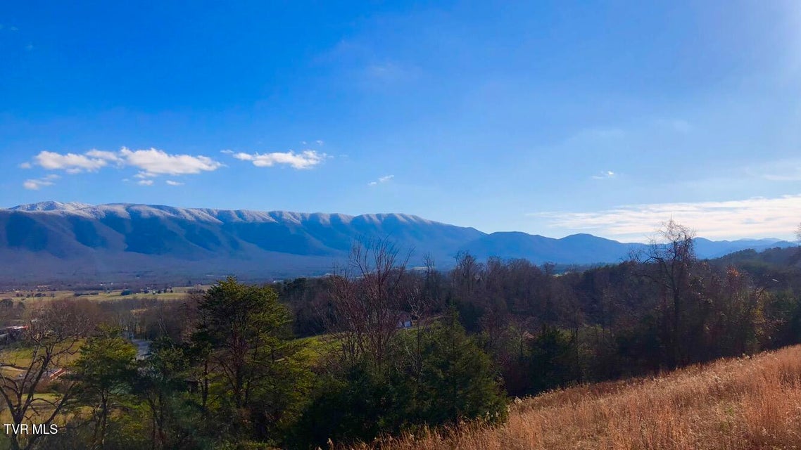 Photo #49: 285 Greystone Road