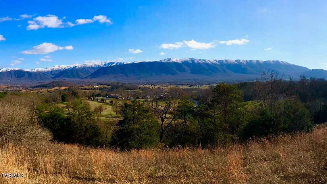 Photo #47: 285 Greystone Road