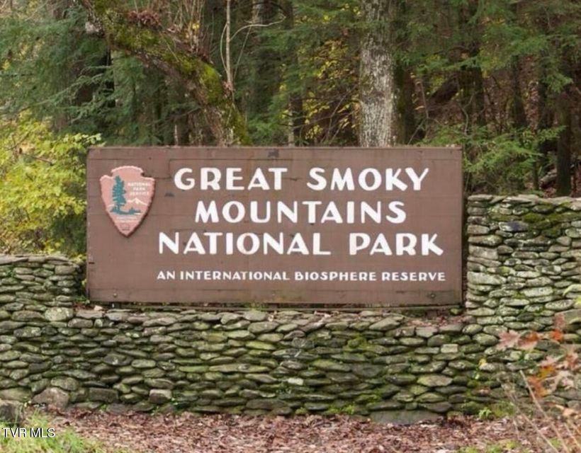 Photo #41: 817 String Run Way 