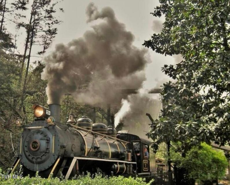 Photo #44: 817 String Run Way 