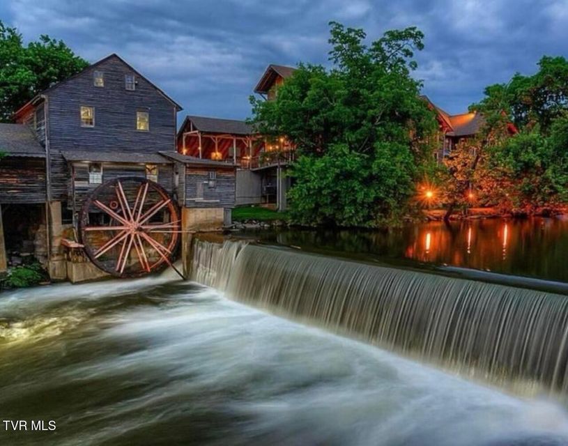 Photo #46: 817 String Run Way 