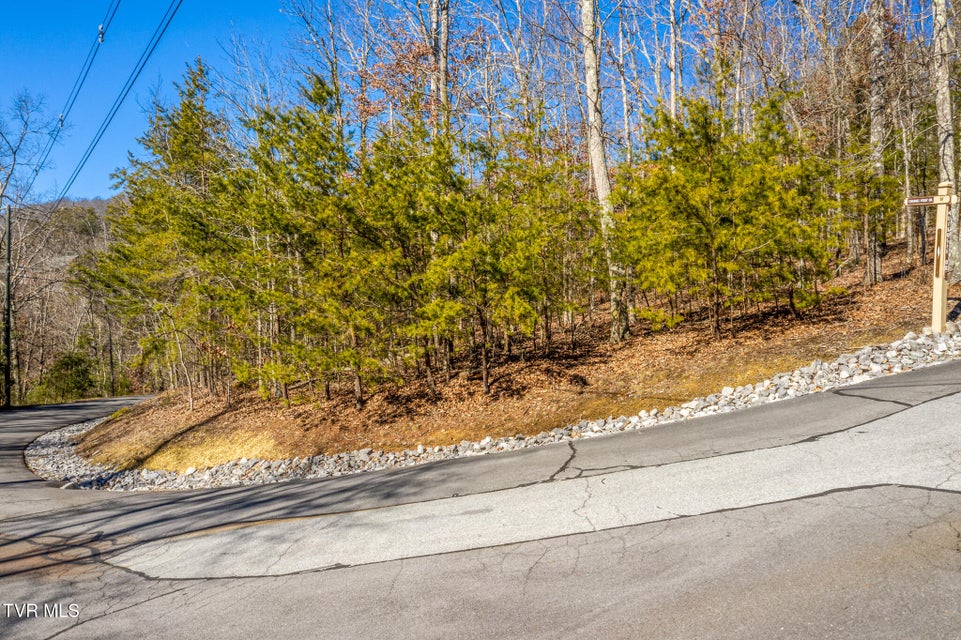 Photo #6: 1324 Muskogee Drive