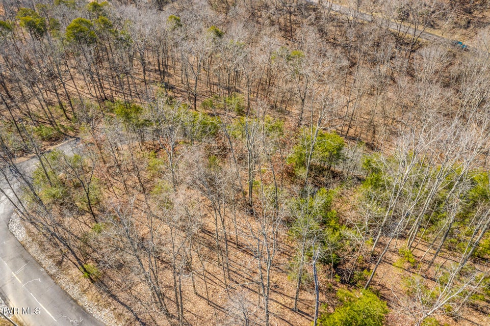 Photo #8: 1324 Muskogee Drive