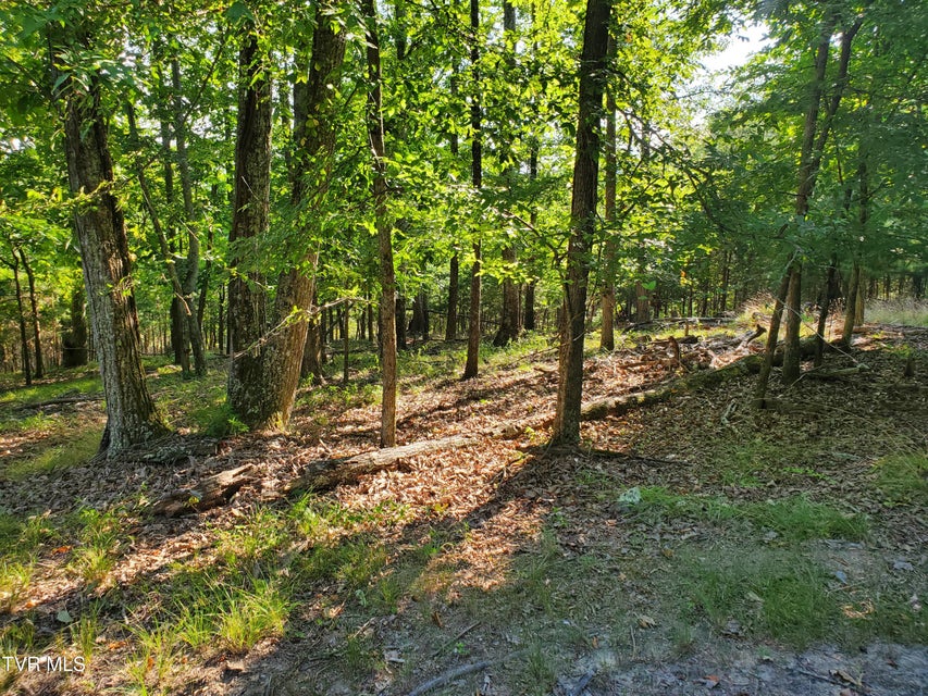 Photo #12: 1324 Muskogee Drive