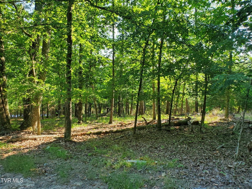 Photo #15: 1324 Muskogee Drive