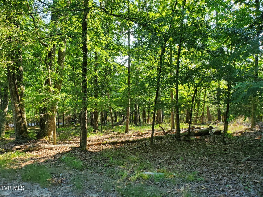 Photo #16: 1324 Muskogee Drive