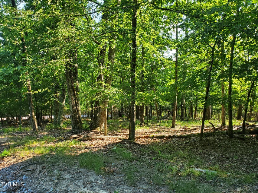 Photo #17: 1324 Muskogee Drive