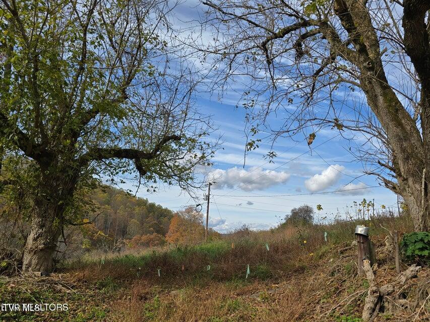 Photo #3: 227 Elihu Road