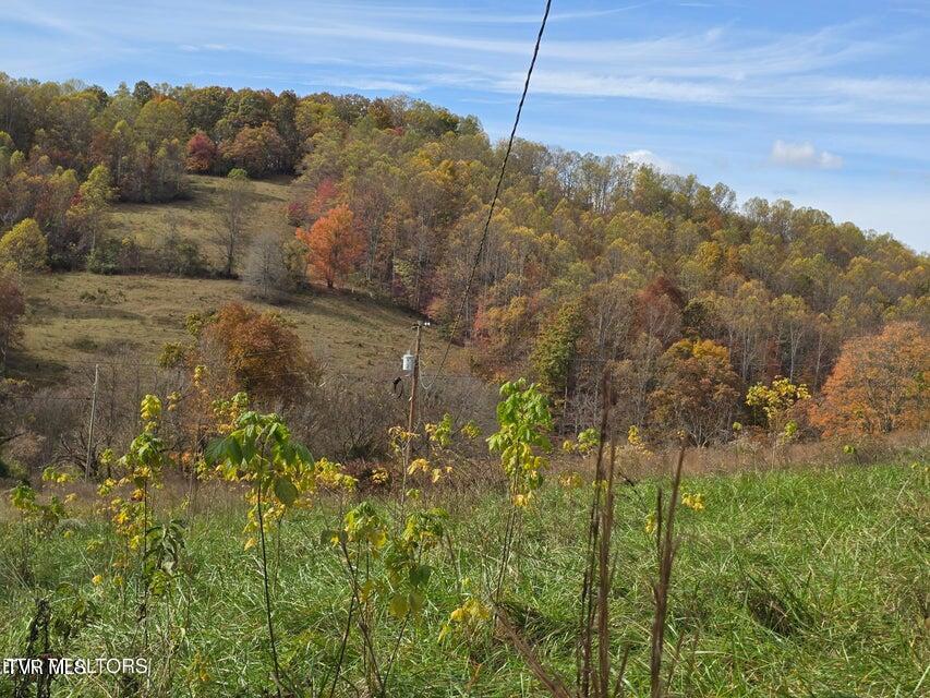 Photo #6: 227 Elihu Road