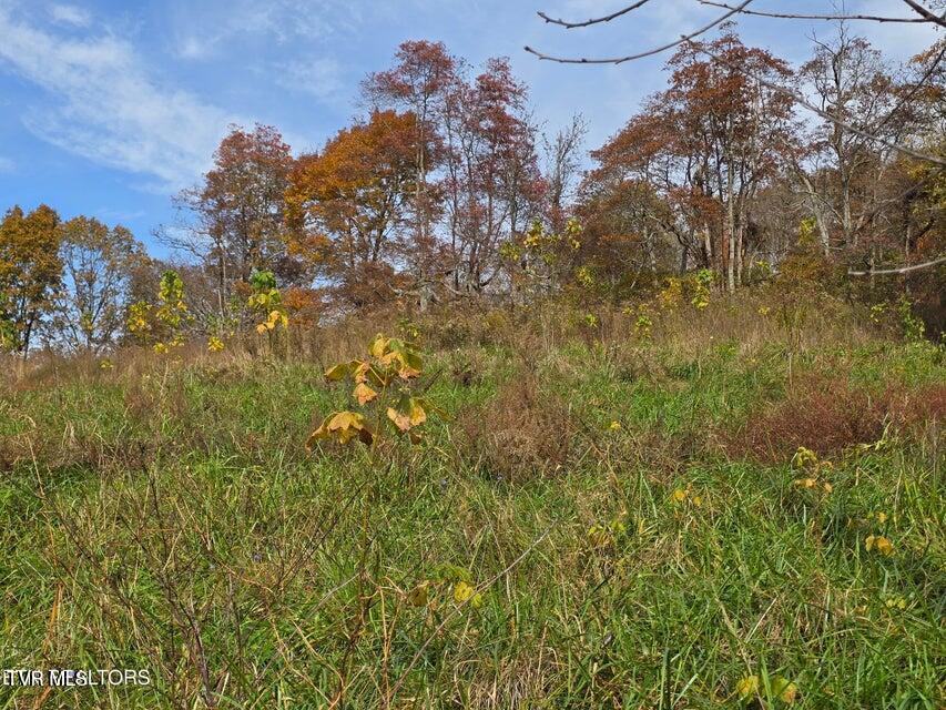 Photo #7: 227 Elihu Road