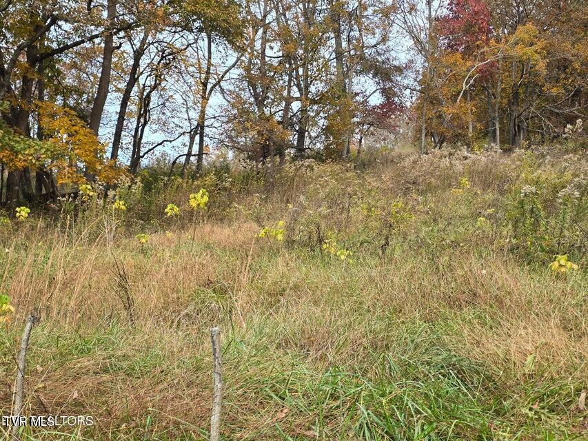 Photo #8: 227 Elihu Road