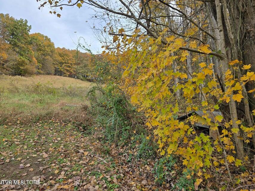 Photo #9: 227 Elihu Road