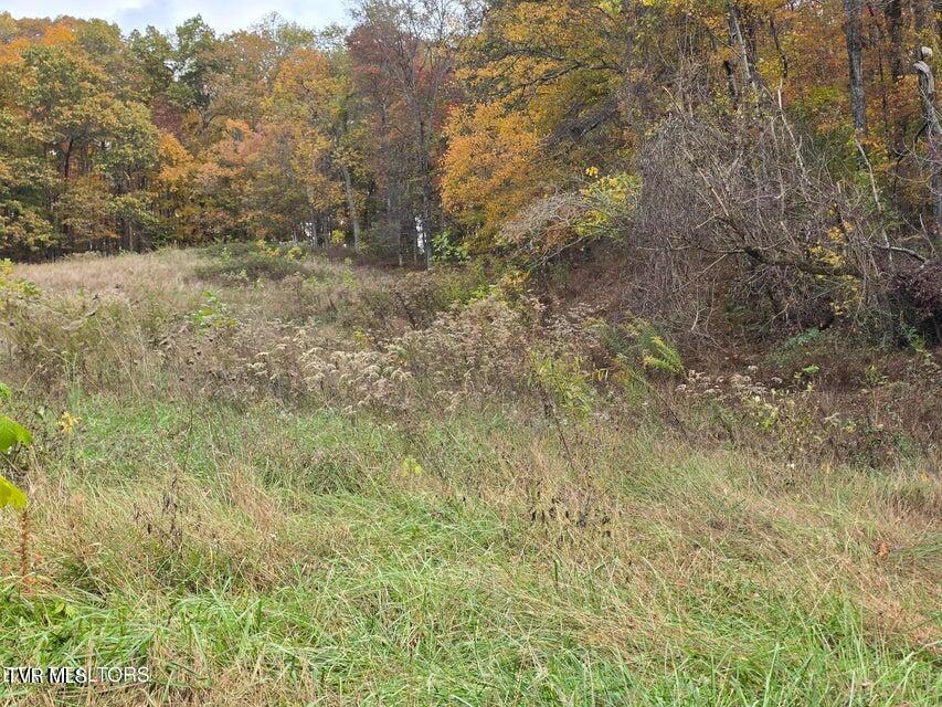 Photo #11: 227 Elihu Road