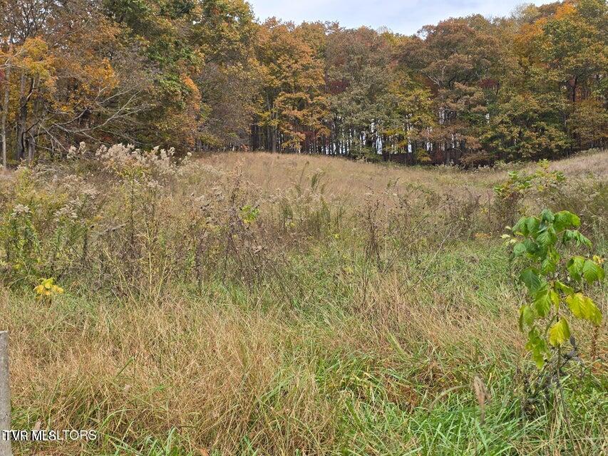 Photo #12: 227 Elihu Road