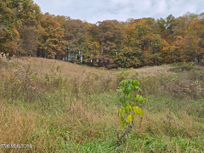 Photo #13: 227 Elihu Road