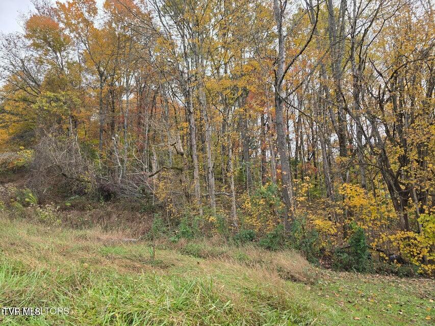 Photo #15: 227 Elihu Road