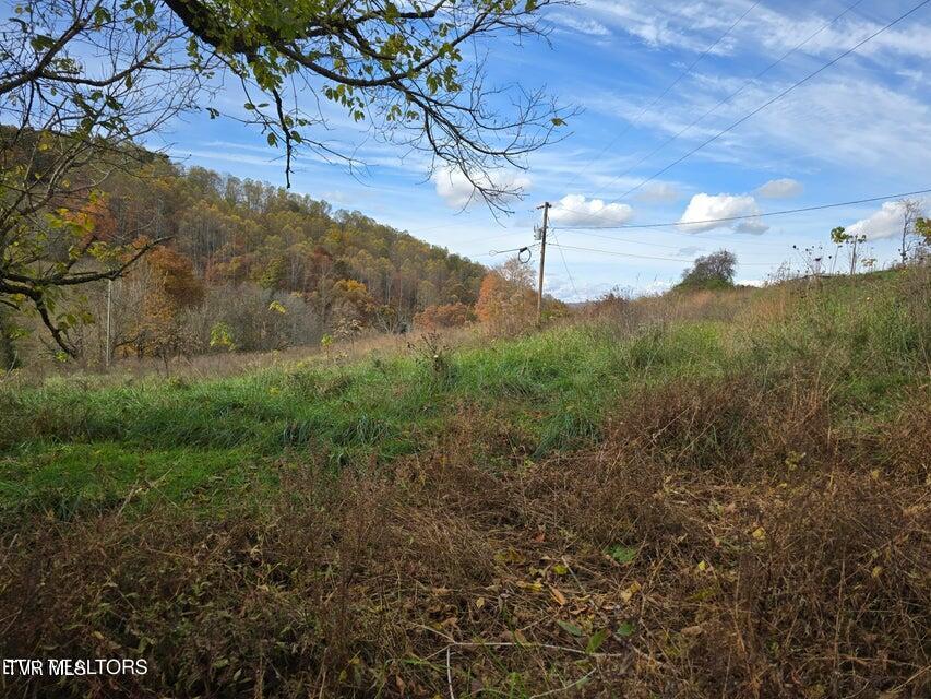 Photo #19: 227 Elihu Road